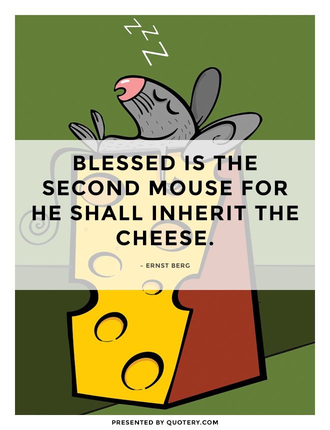 Blessed is the Second mouse for he shall inherit the Cheese. - Image 1