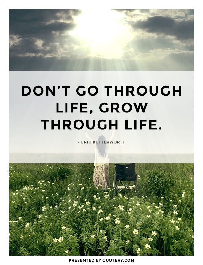 Don't go through life, grow through life. - Image 1