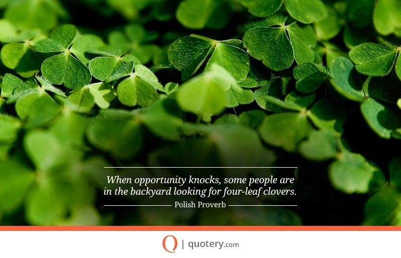 When opportunity knocks, some people are in the backyard looking for four-leaf clovers. - Image 2