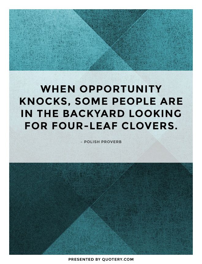 When opportunity knocks, some people are in the backyard looking for four-leaf clovers. - Image 1