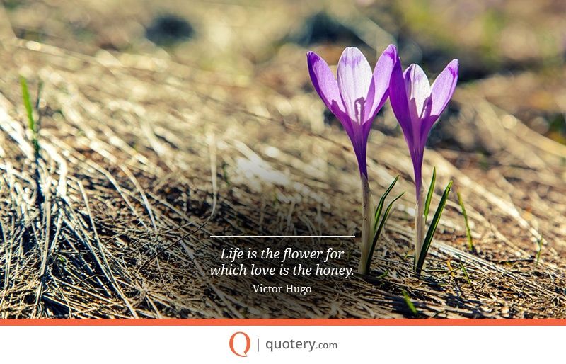 Life is the flower for which love is the honey. - Image 2