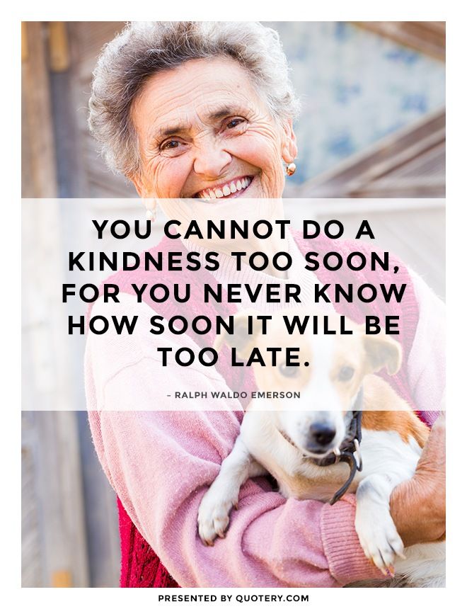 You cannot do a kindness too soon, for you never know how soon it will be too late. - Image 1
