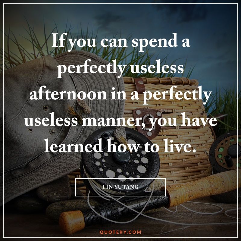If you can spend a perfectly useless afternoon in a perfectly useless manner, you have learned how to live. - Image 1