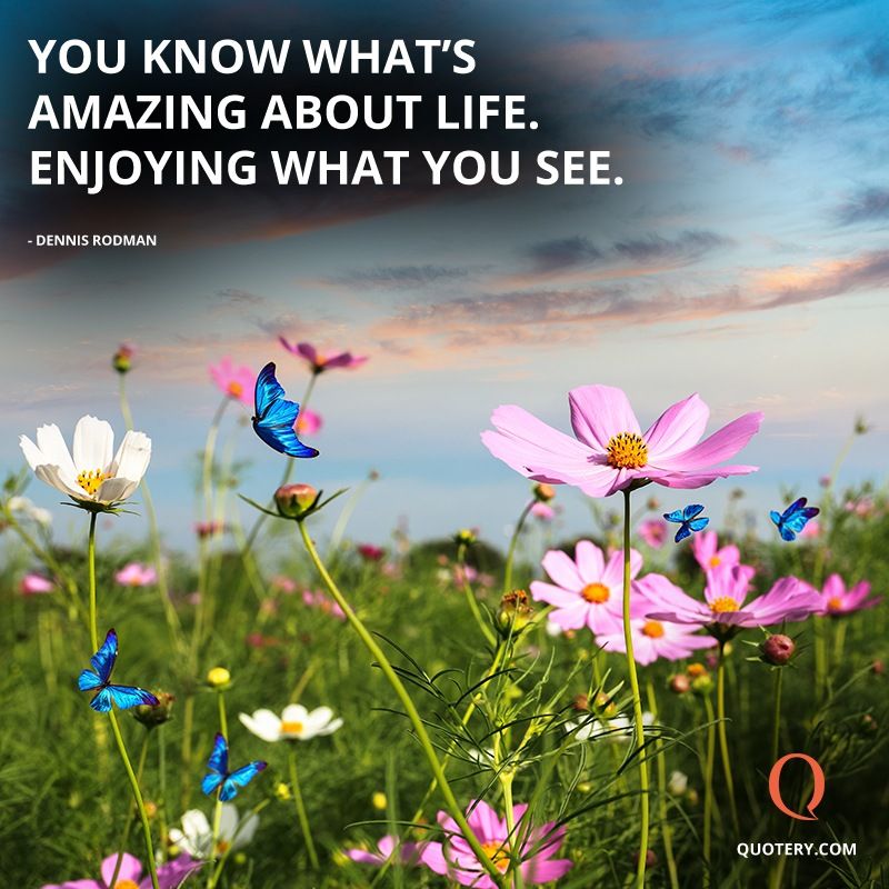 You know what's amazing about life. Enjoying what you see. - Image 1