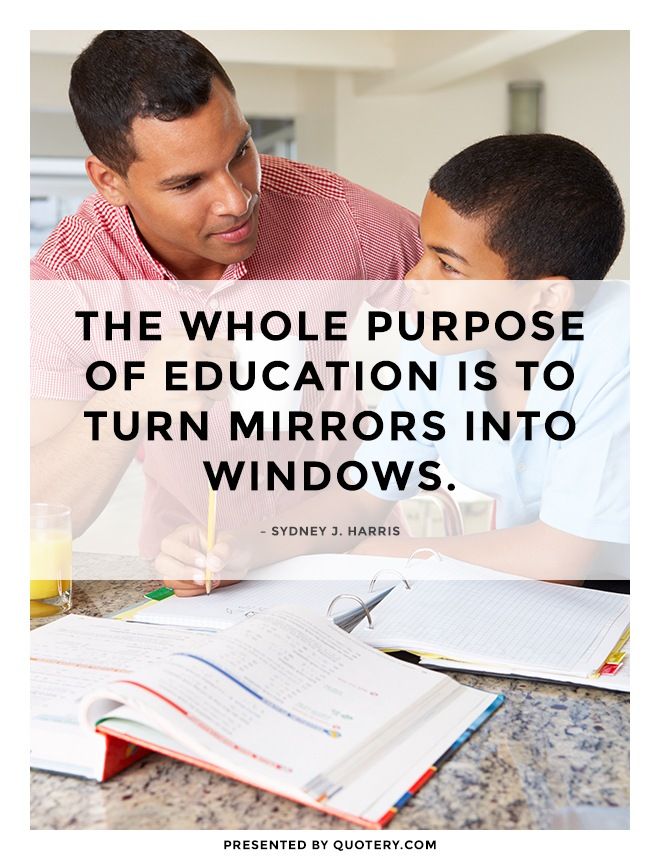 The whole purpose of education is to turn mirrors into windows. - Image 2