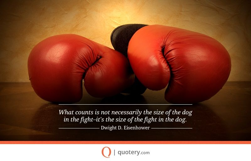 What counts is not necessarily the size of the dog in the fight–it's the size of the fight in the dog. - Image 1