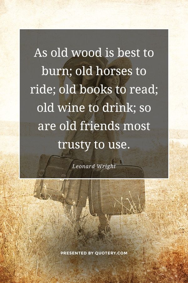 As old wood is best to burn; old horses to ride; old books to read; old wine to drink; so are old friends most trusty to use. - Image 1