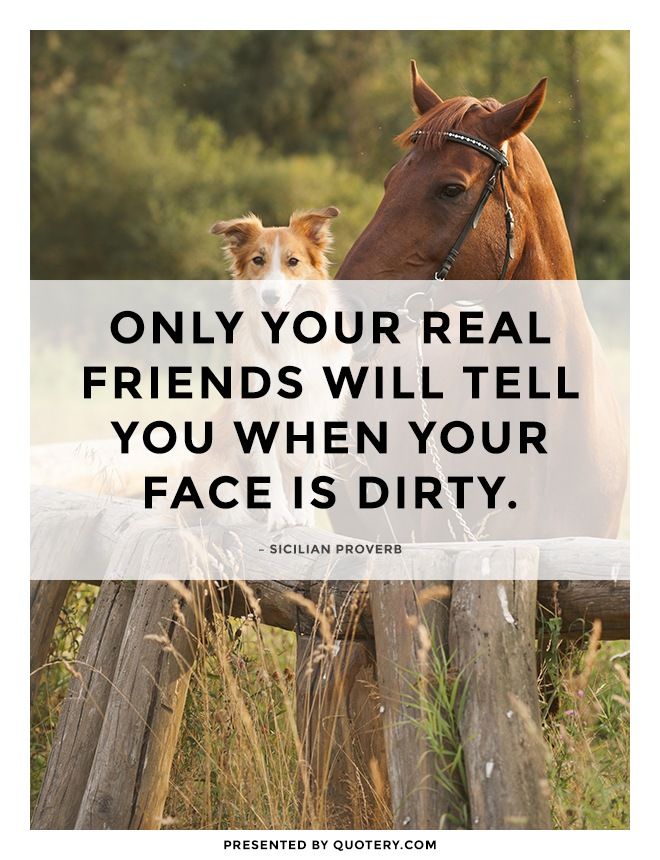 Only your real friends will tell you when your face is dirty. - Image 1