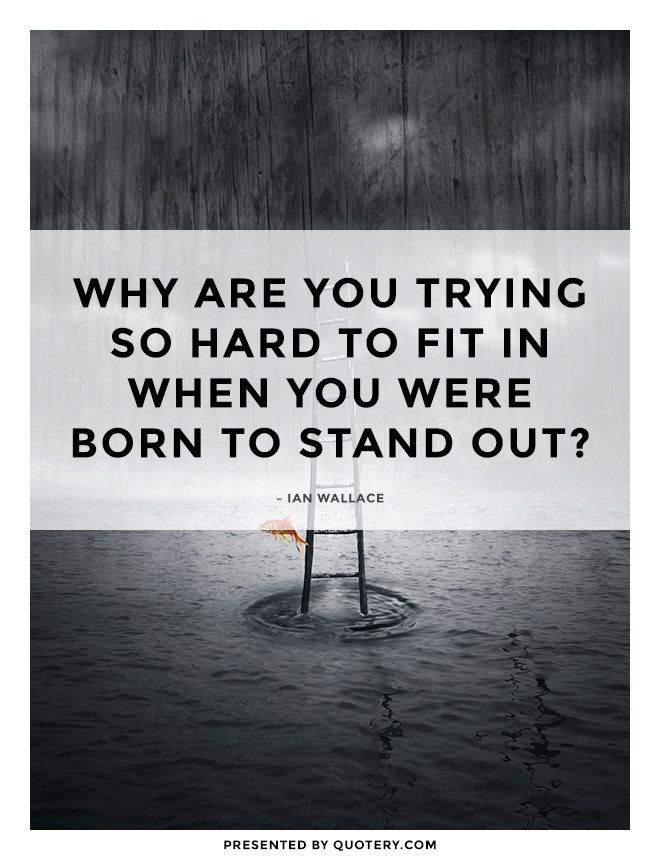 Why are you trying so hard to fit in when you were born to stand out? - Image 1