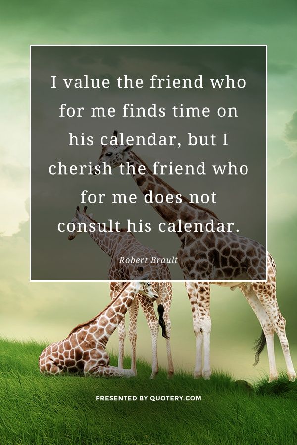I value the friend who for me finds time on his calendar, but I cherish the friend who for me does not consult his calendar. - Image 1