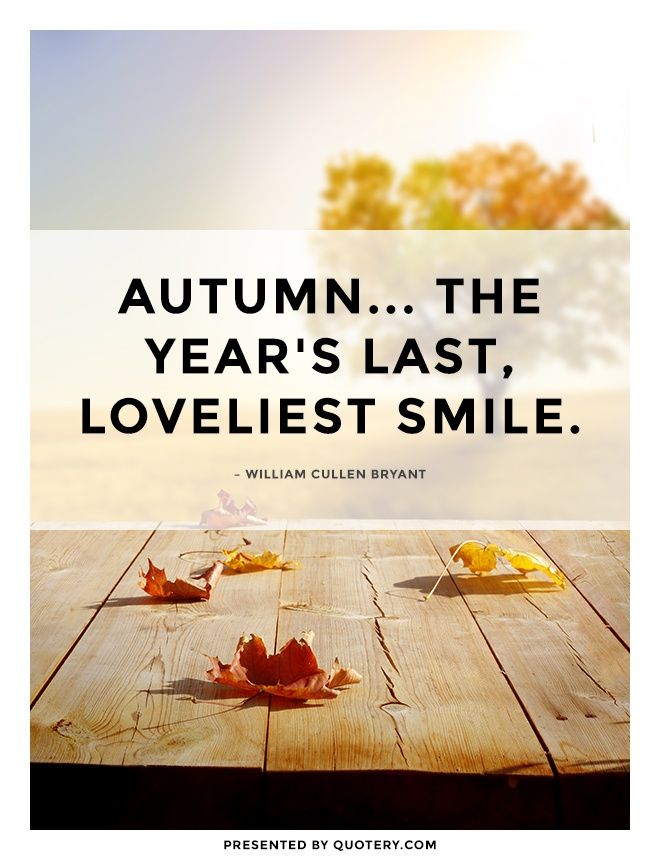 Autumn... the year's last, loveliest smile. - Image 1