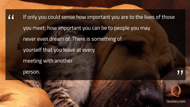 If only you could sense how important you are to the lives of those you meet; how important you can be to people you may never even dream of. There is something of yourself that you leave at every meeting with another person. - Image 1