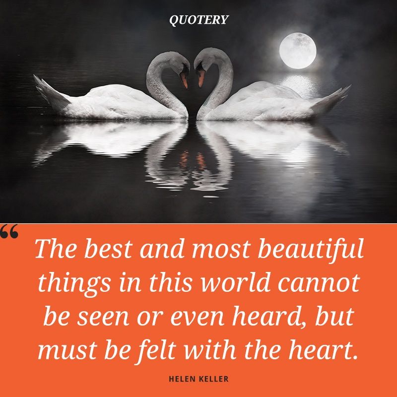 The best and most beautiful things in the world cannot be seen nor even touched, but just felt in the heart. - Image 1