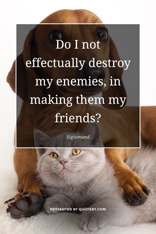 Do I not effectually destroy my enemies, in making them my friends? - Image 1