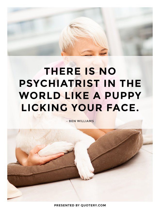 There is no psychiatrist in the world like a puppy licking your face. - Image 1
