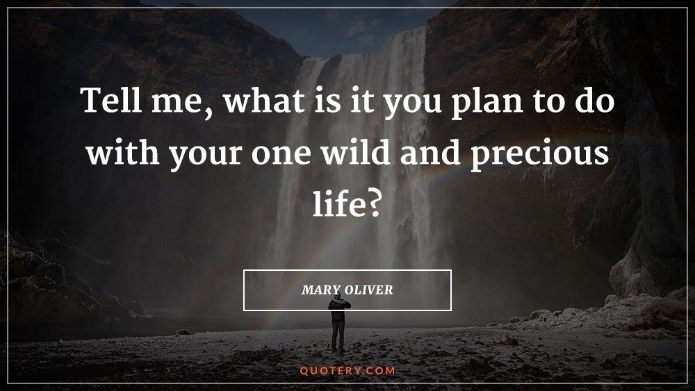 Tell me, what is it you plan to do
with your one wild and precious life? - Image 1