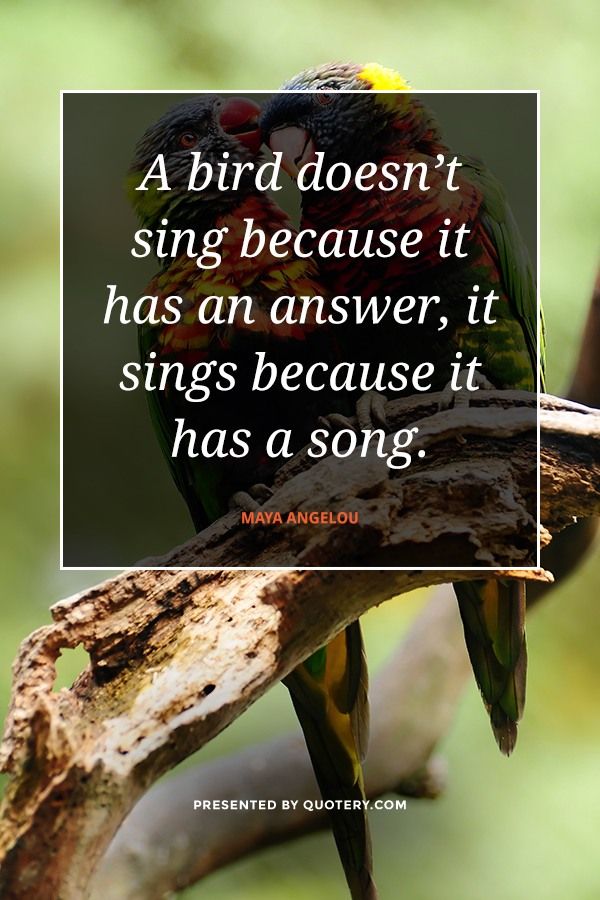 A bird doesn't sing because it has an answer, it sings because it has a song. - Image 1