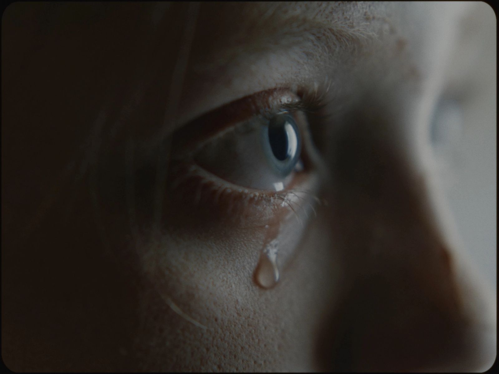 Anastatica - Short Film