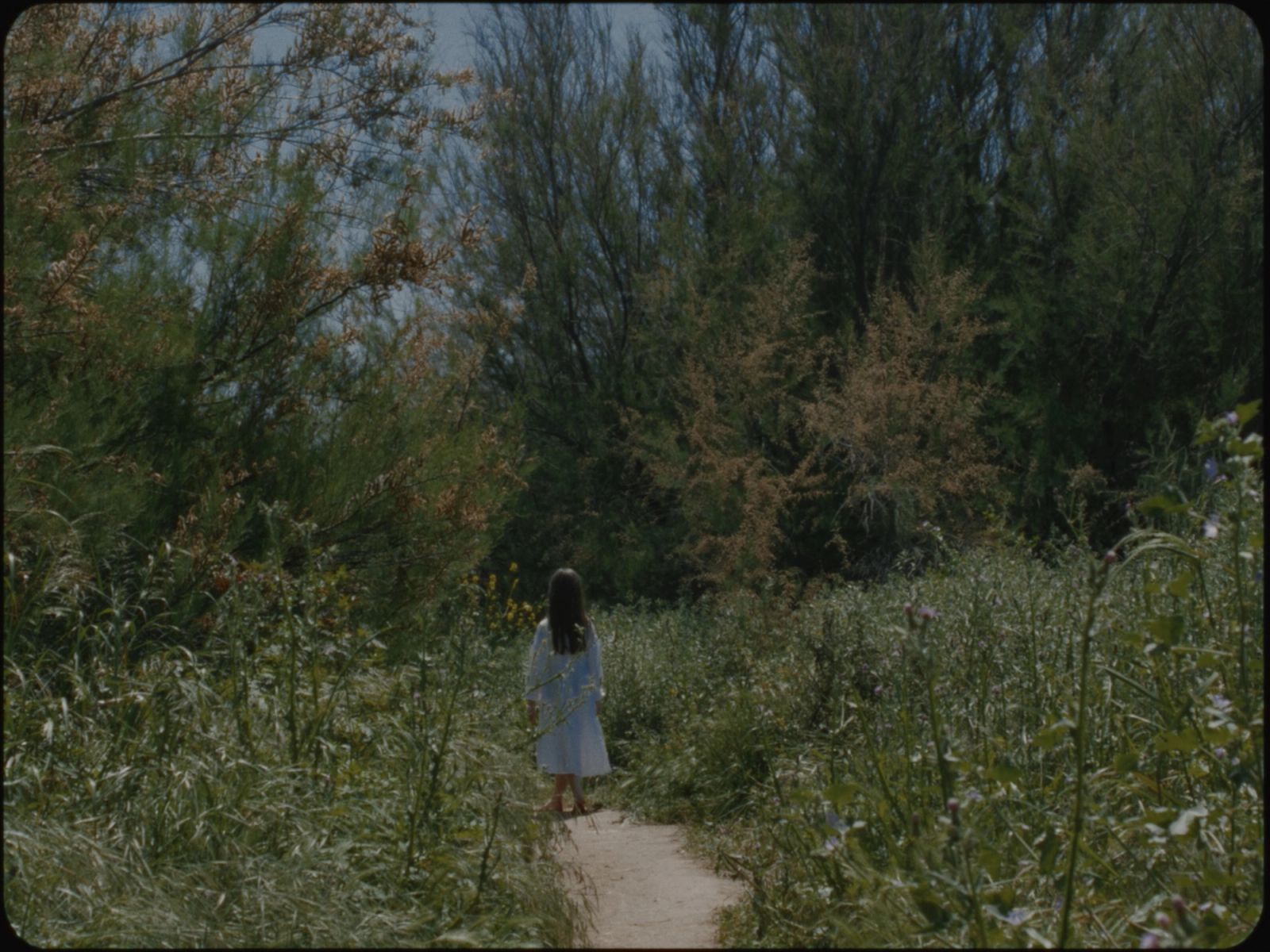 Anastatica - Short Film
