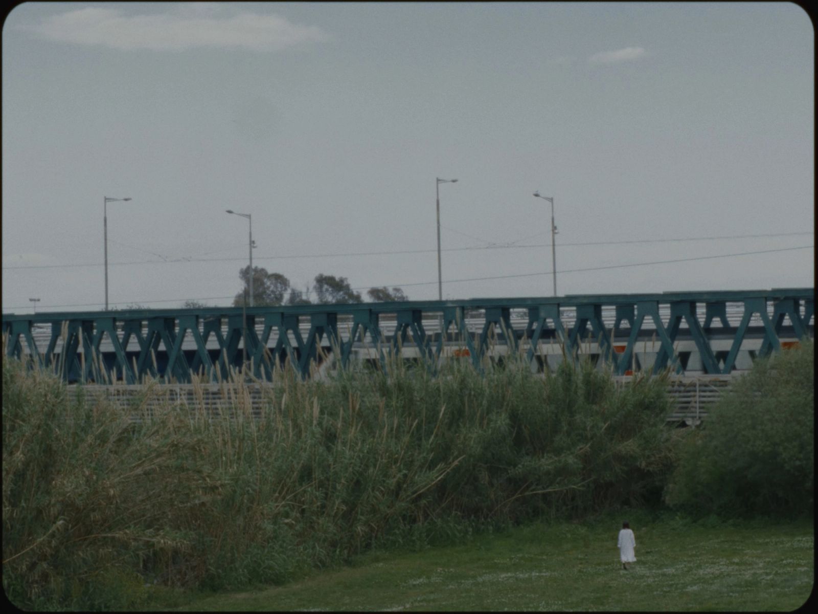 Anastatica - Short Film