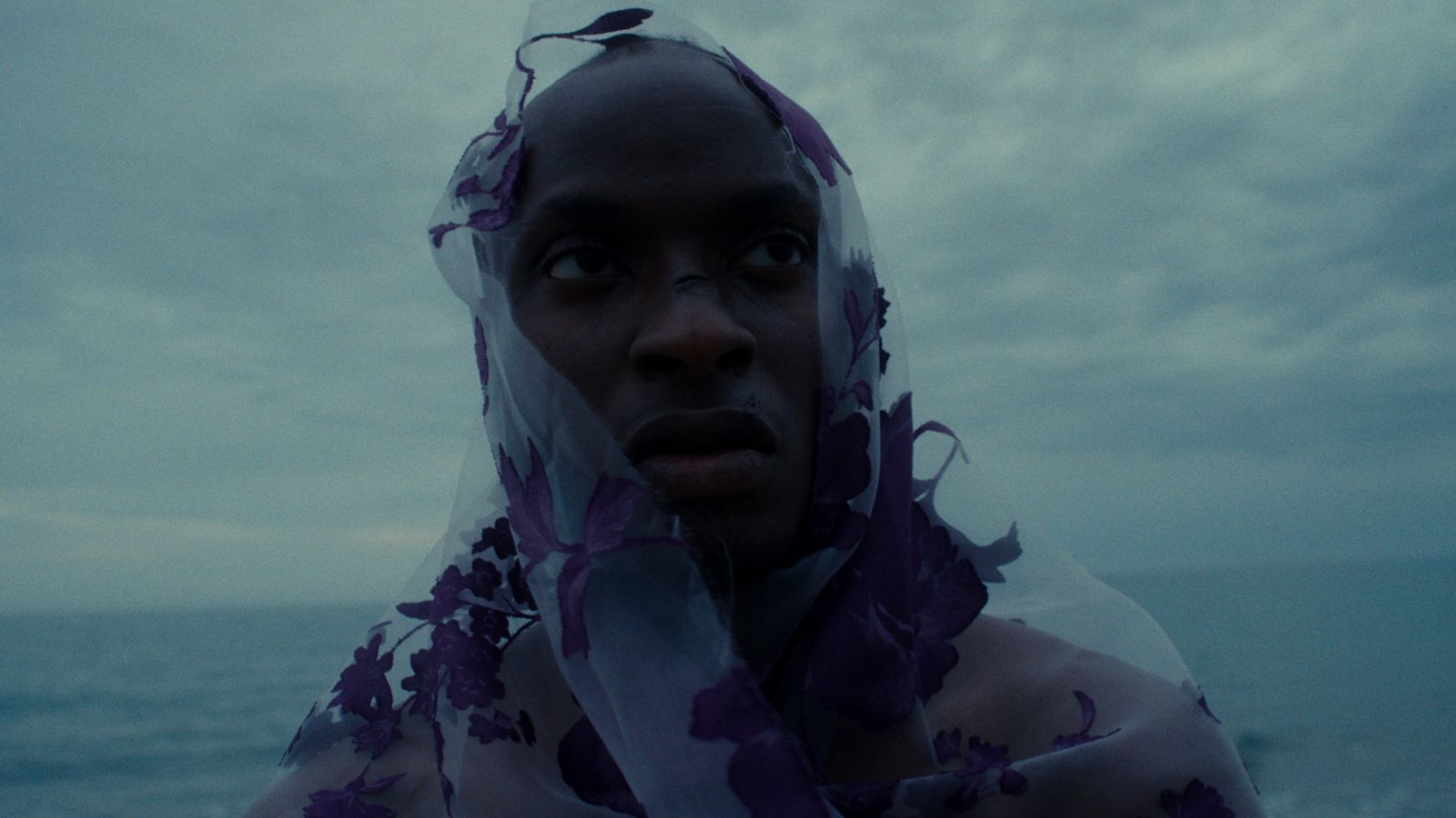 Wekaforé - Olosho Rythm 800mph