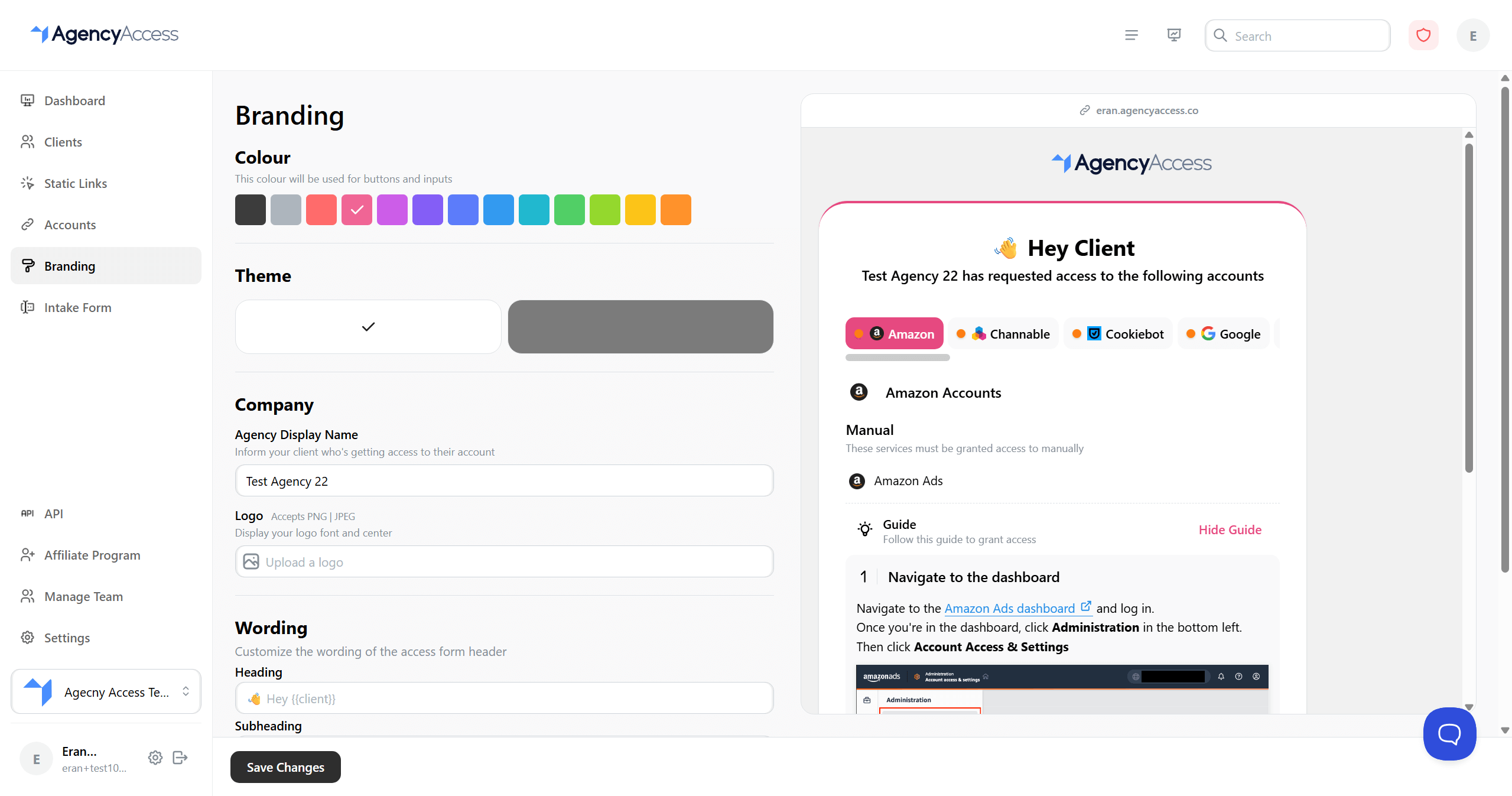 Branding settings with color picker, theme, and logo options