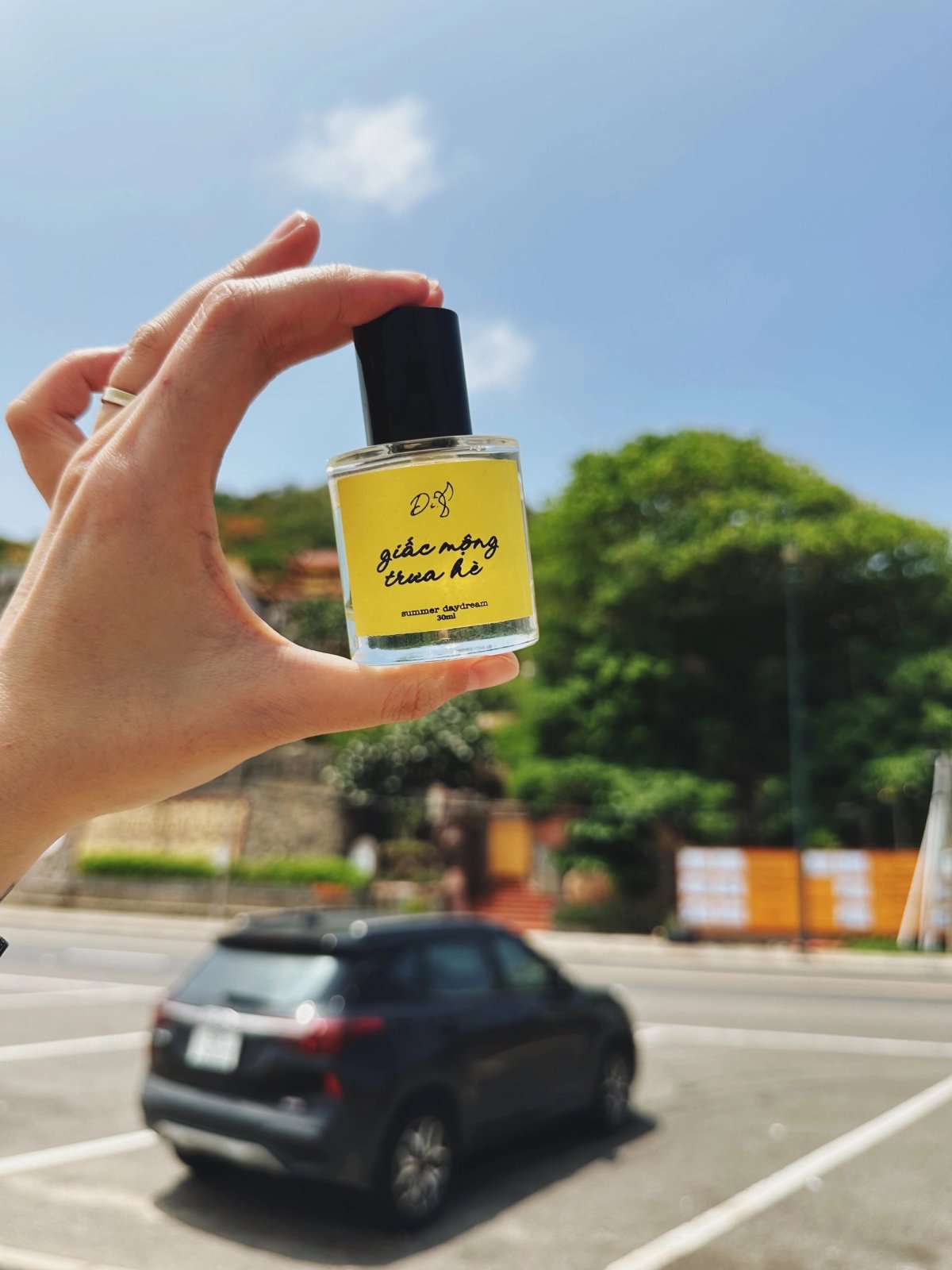 Giấc Mộng Trưa Hè 15