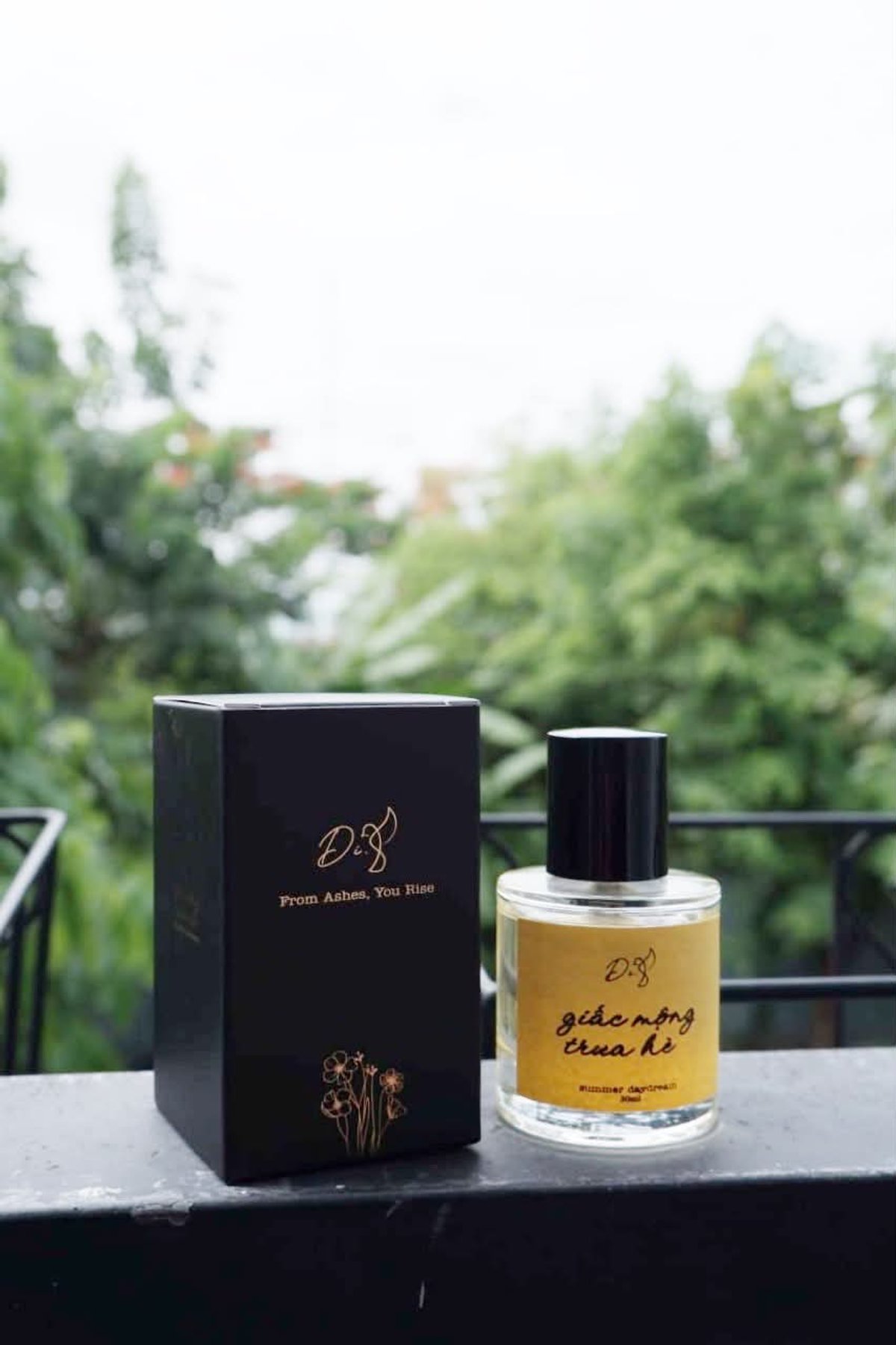 Giấc Mộng Trưa Hè 12