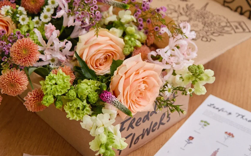 Freddie's Flowers