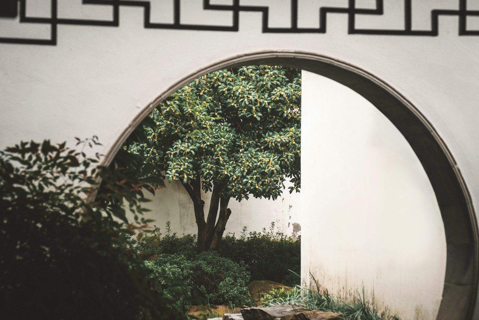 A circular moon-gate opening in a white garden wall, revealing a tree and planting beyond.