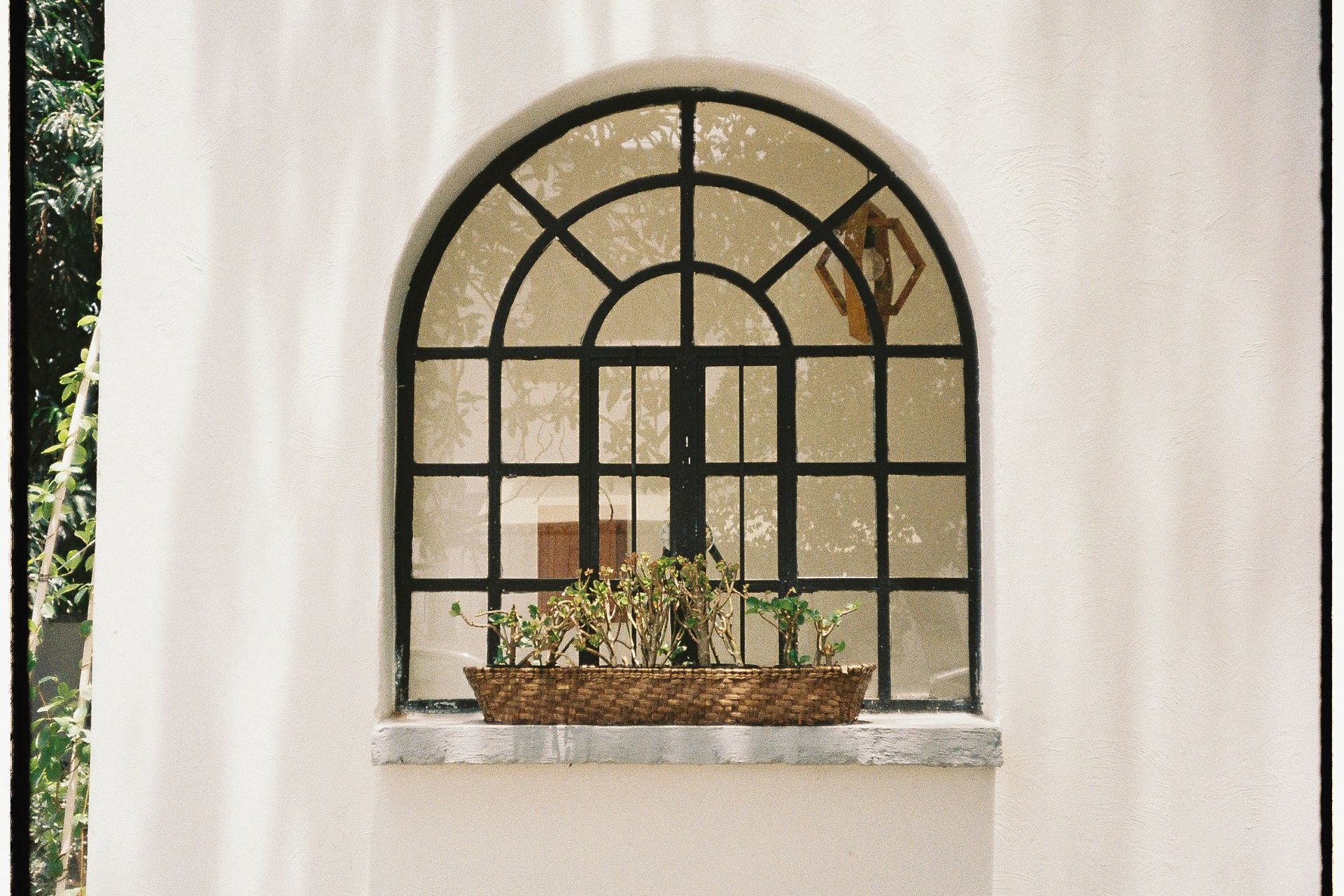 The garden mirror edit