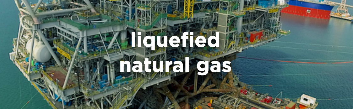 Major liquefied natural gas exporting countries in 2019.