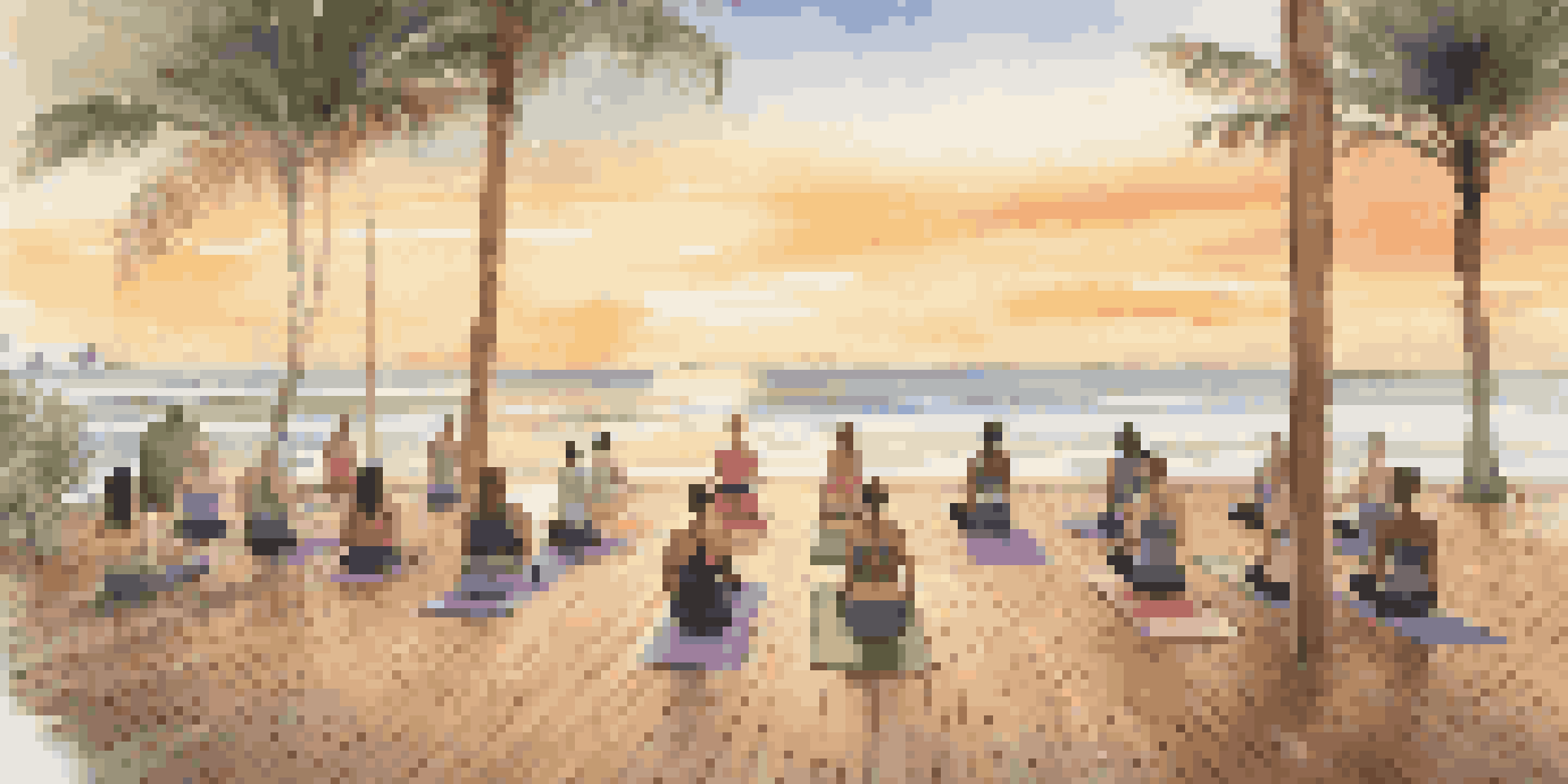 A sunrise yoga class on a wooden deck by the beach, with participants practicing poses surrounded by palm trees and the ocean.