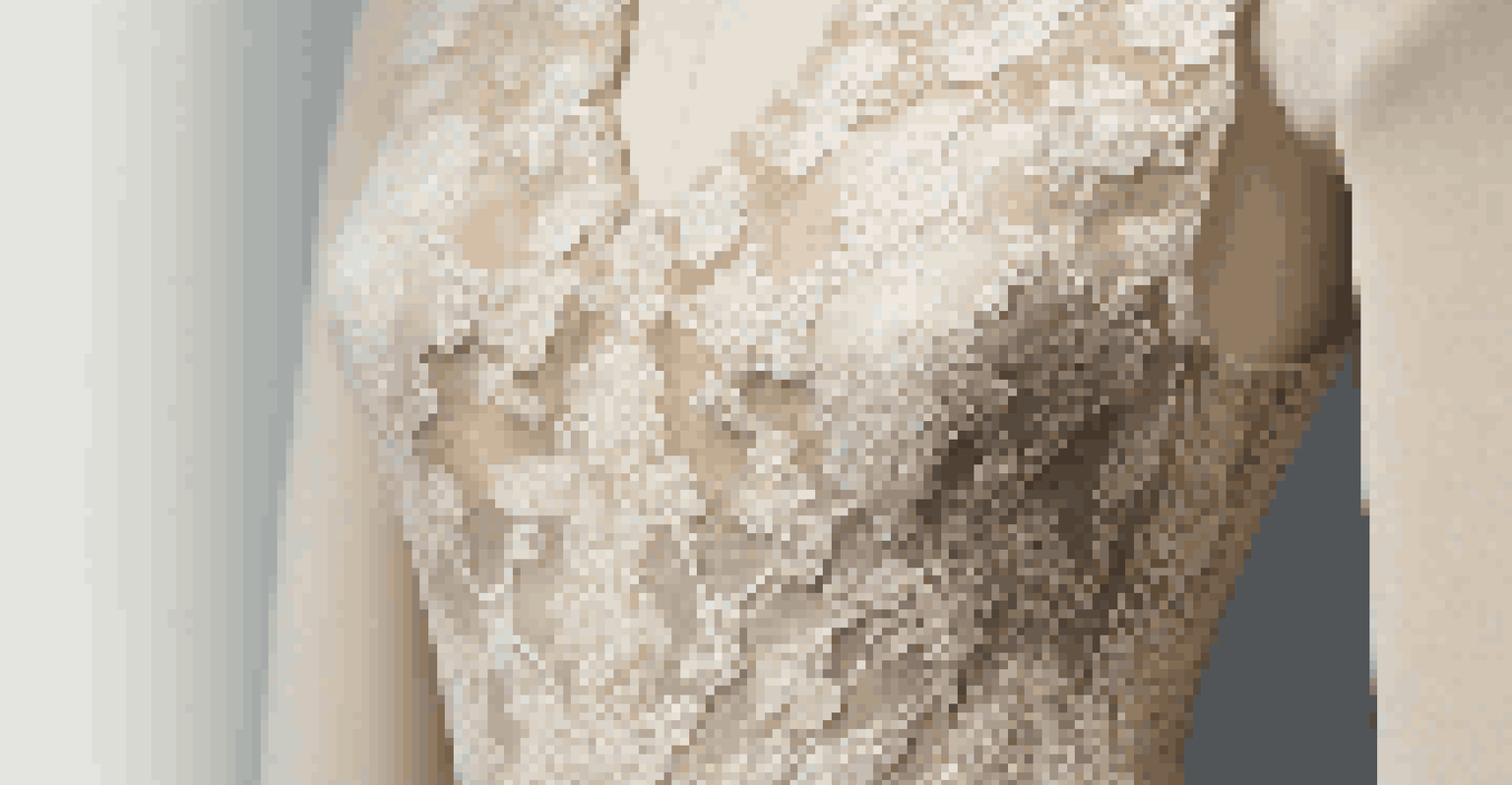 A close-up of a limited edition fashion garment displayed on a mannequin, showcasing intricate lace and embroidery details.
