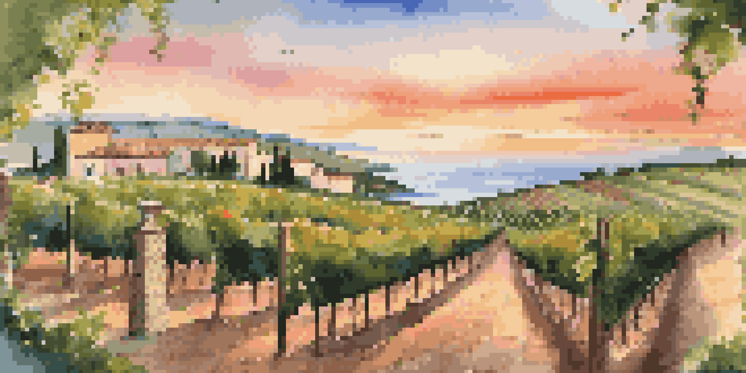 A scenic vineyard with grapevines and a view of the Adriatic Sea during sunset, featuring a rustic table set for wine tasting.