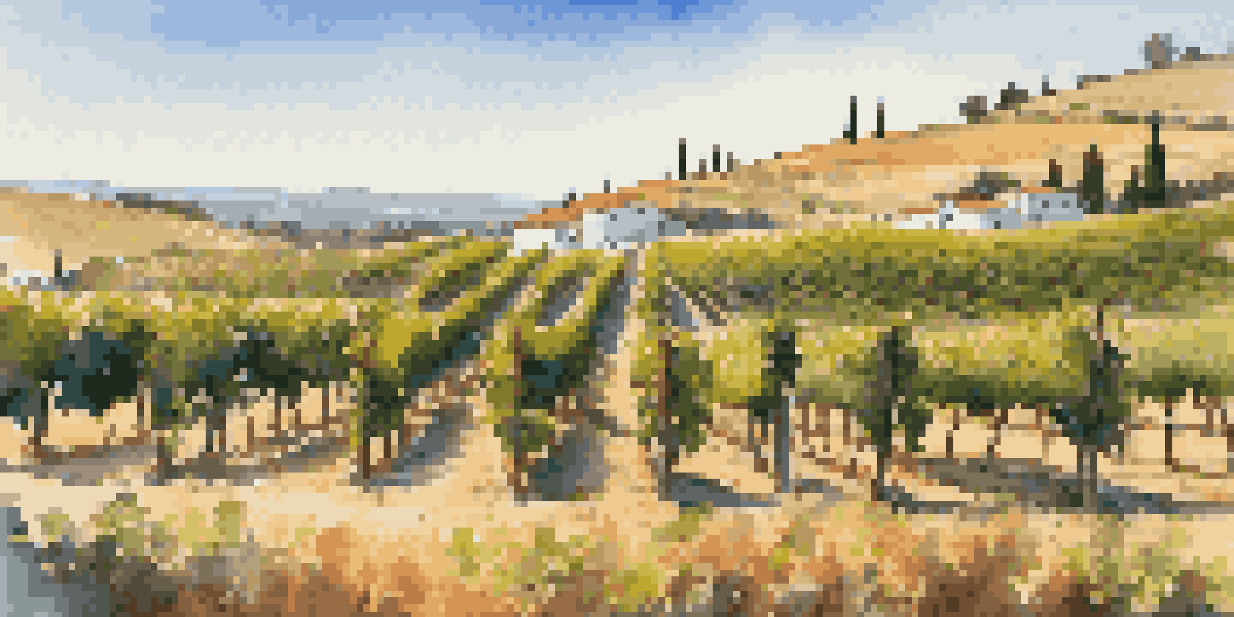 A picturesque vineyard with grapevines, a picnic table set with wine glasses, cheeses, and fruits under a blue sky.
