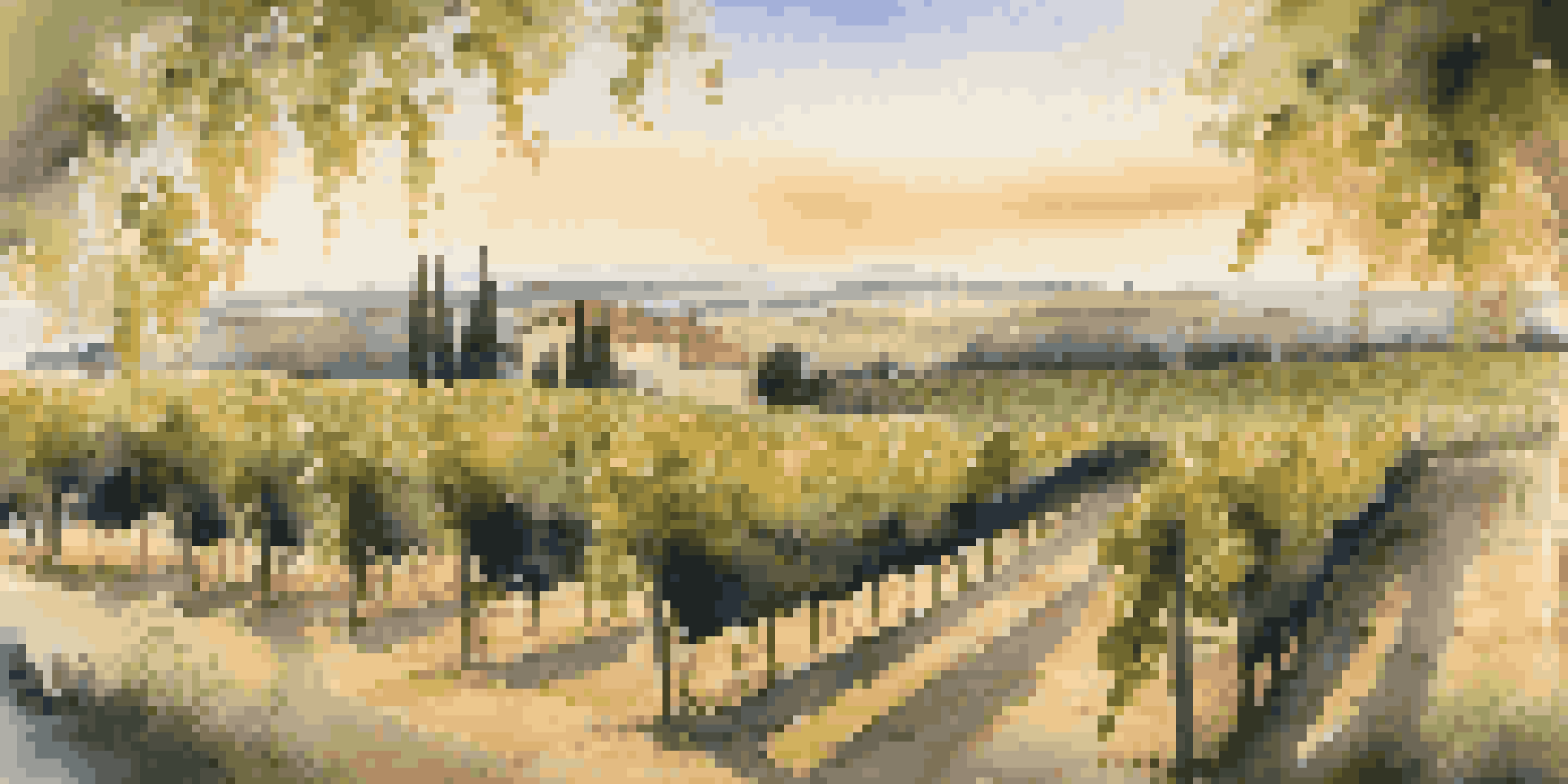 A picturesque vineyard in Bordeaux at sunset with grapevines, a wooden table set for a wine tasting, and gourmet cheeses.