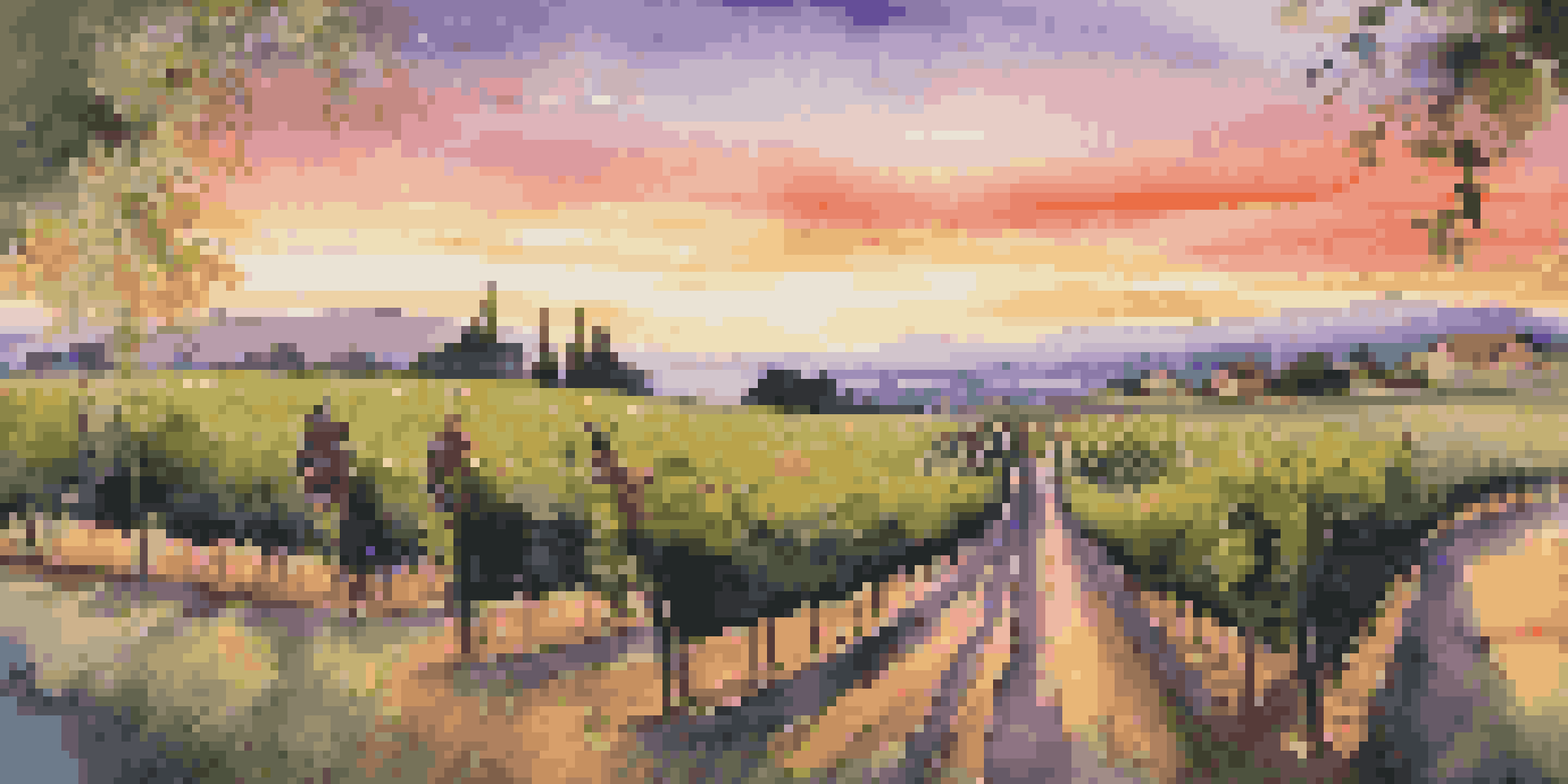 A couple enjoying wine at sunset in a vineyard, with colorful skies and lush grapevines.
