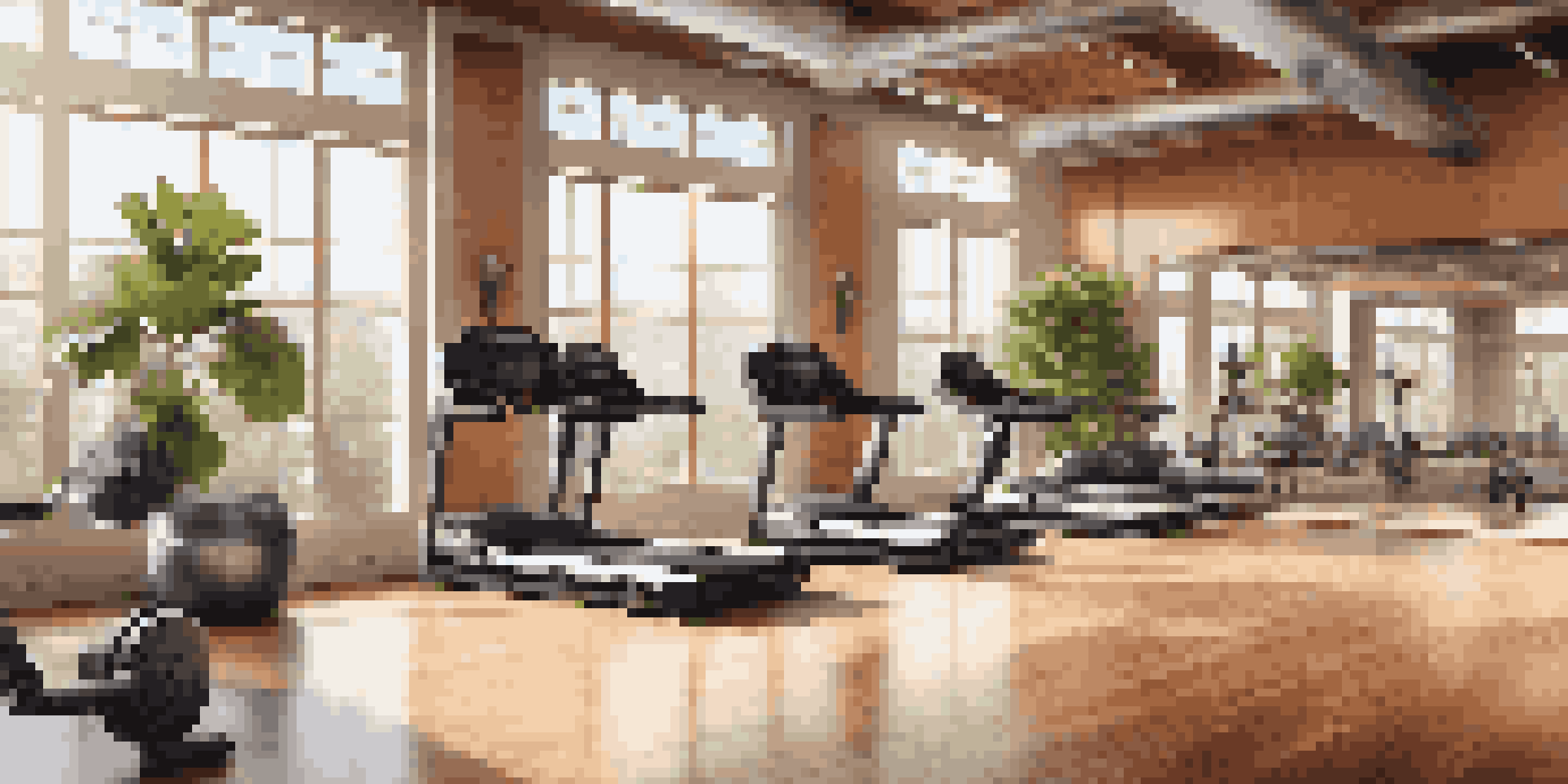 A spacious and elegantly designed gym interior with wooden and metal elements, bright windows, and indoor plants, creating a welcoming atmosphere.