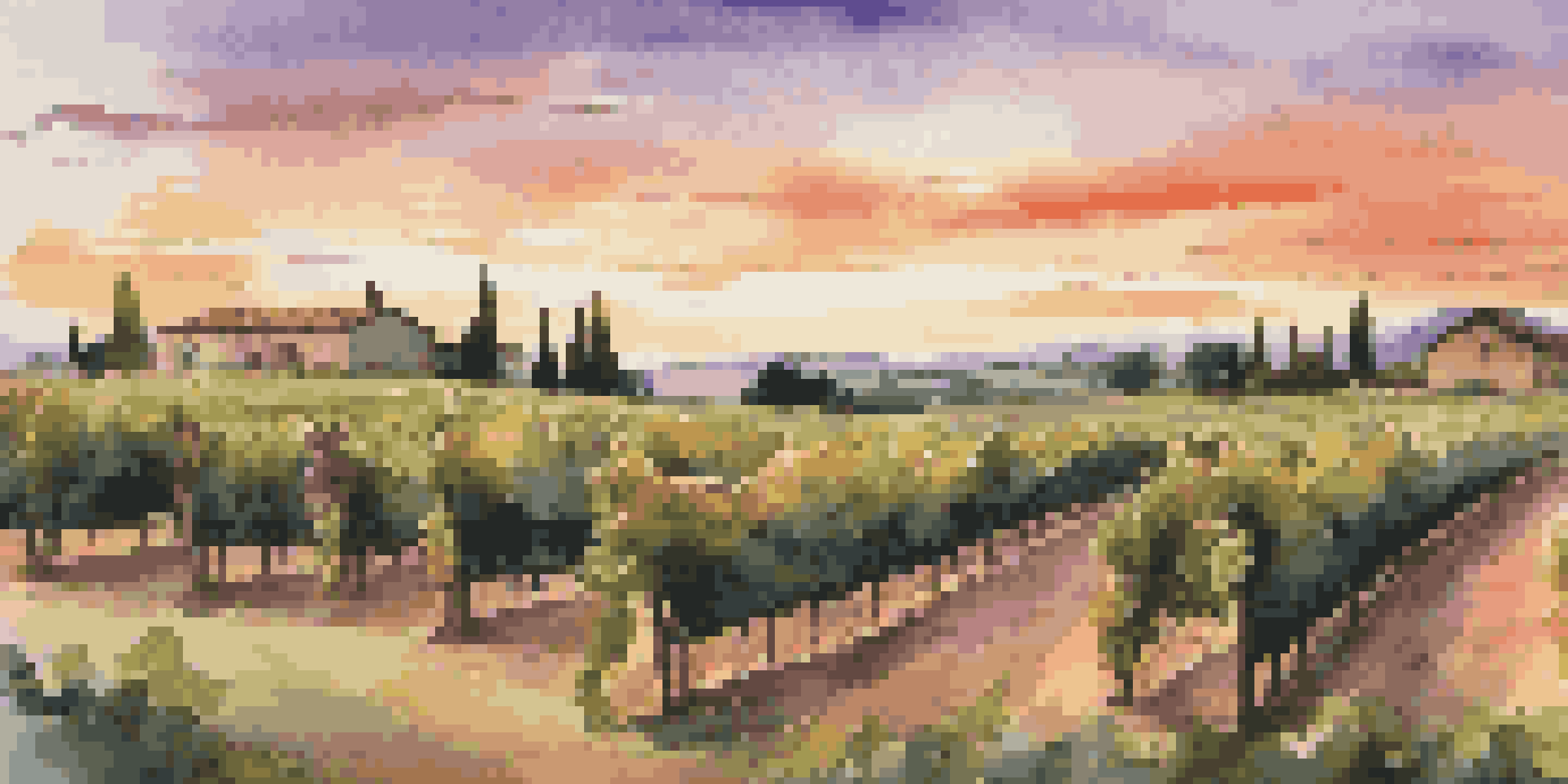 A scenic view of a vineyard at sunset with grapevines, a pond, and a table set for wine tasting.