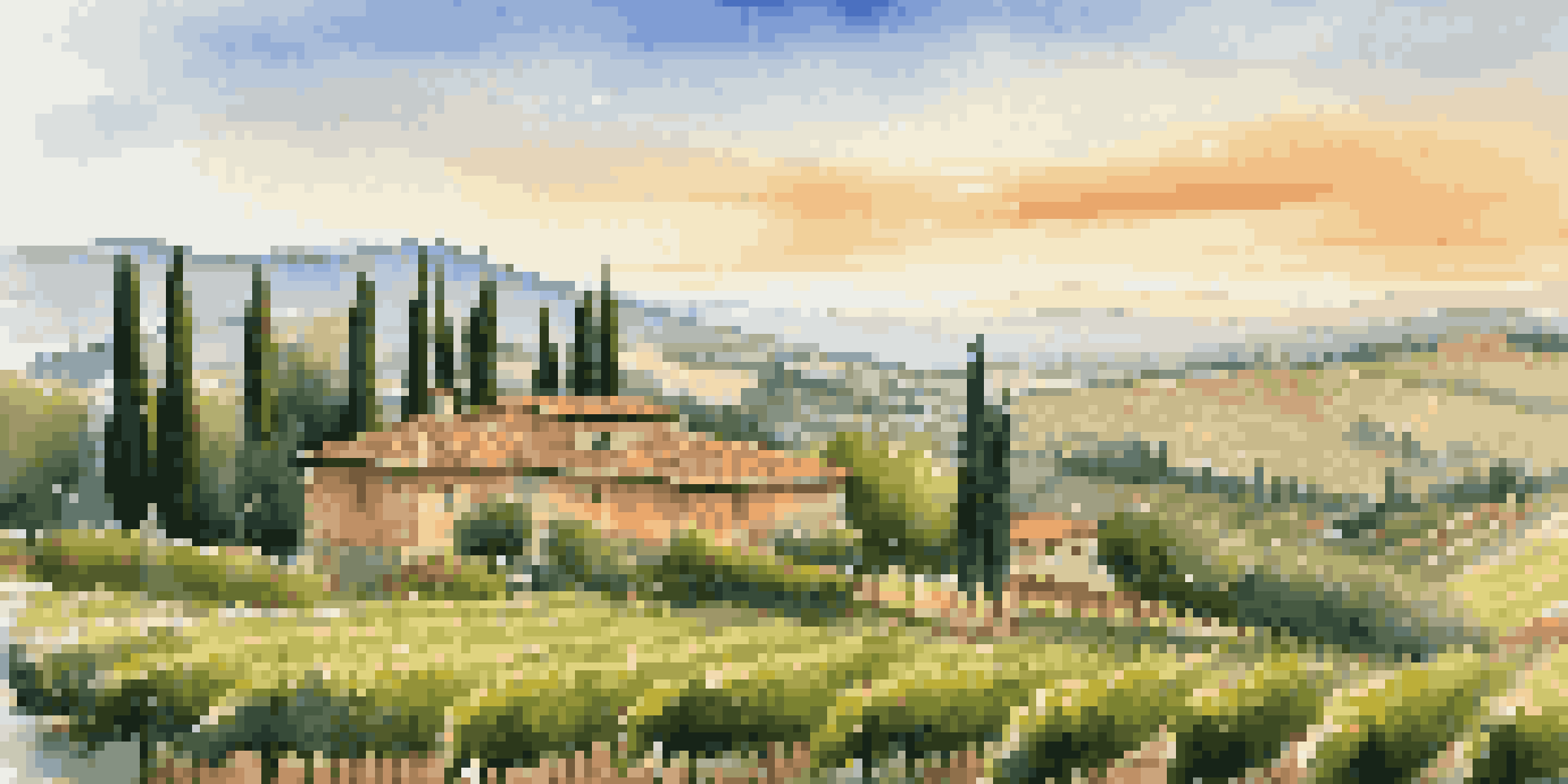 A beautiful vineyard in Tuscany bathed in golden sunlight, showcasing rows of grapevines and a rustic farmhouse in the background.