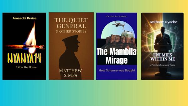 The Season’s Hottest African Political Mystery Books