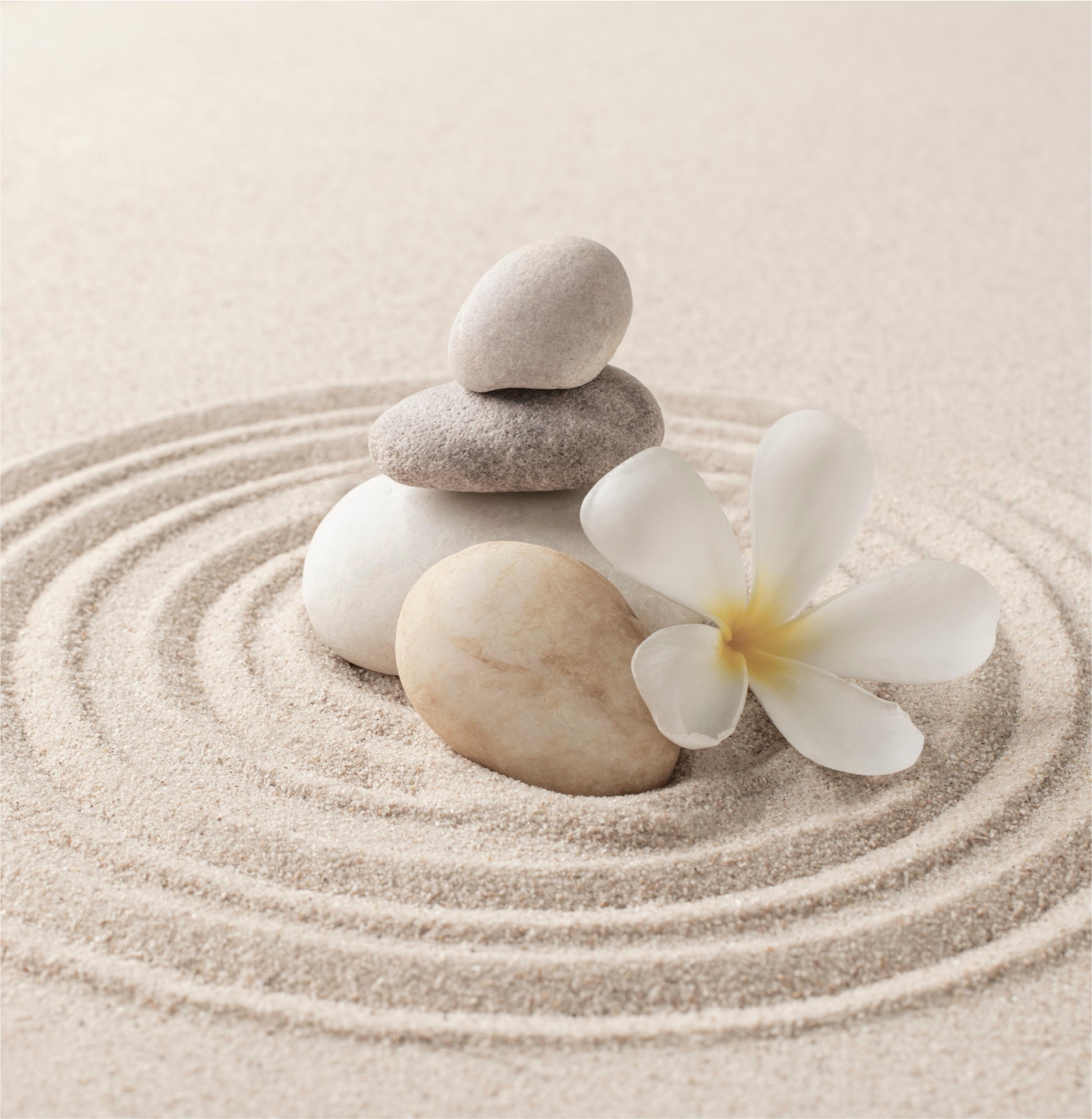 Smooth stones and a white flower resting in raked sand