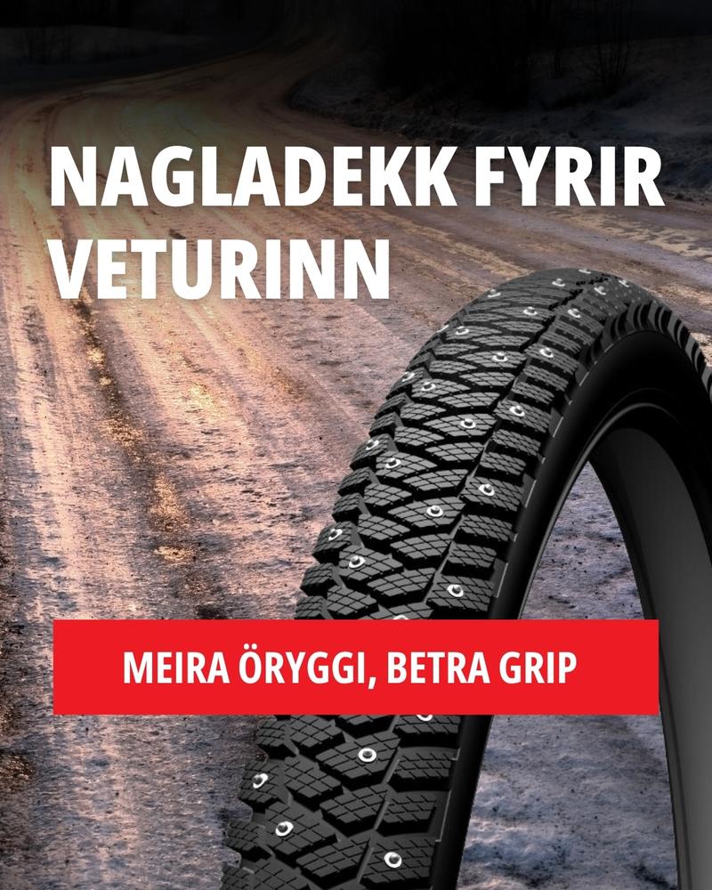 Hálkan lét sjá sig í morgun ❄️🚲