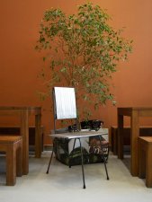 La Casa Encendida Cafetería