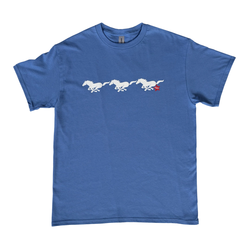 Let There Be Horses Tee