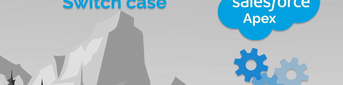 Apex Enum With Switch case example