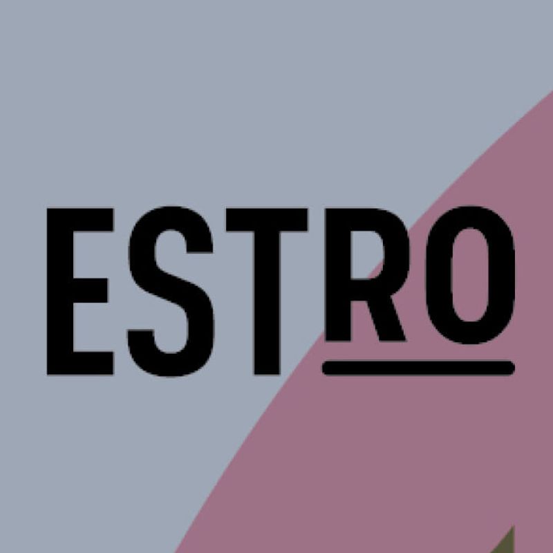 SeeTreat at ESTRO 2024