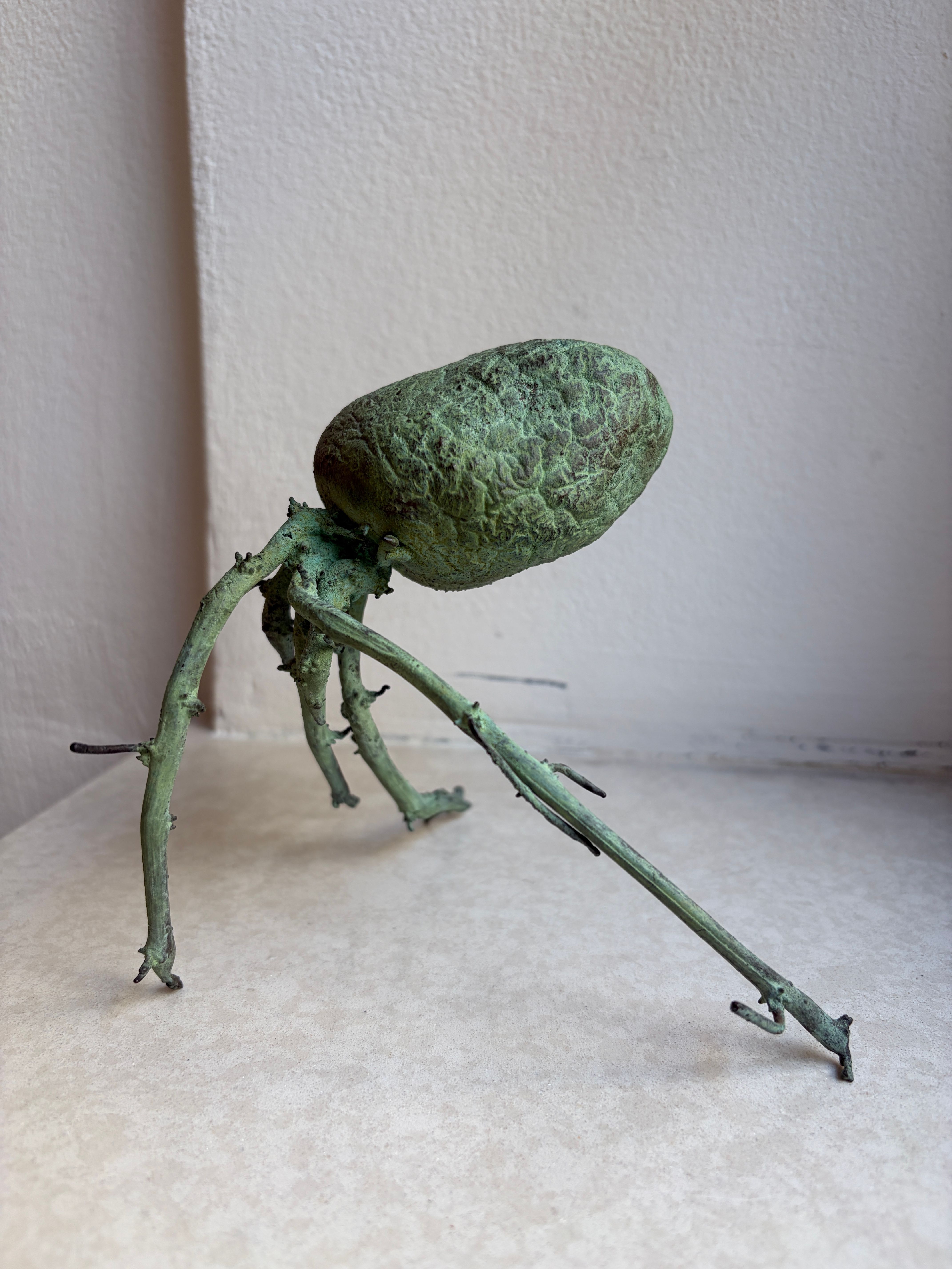 Brambora