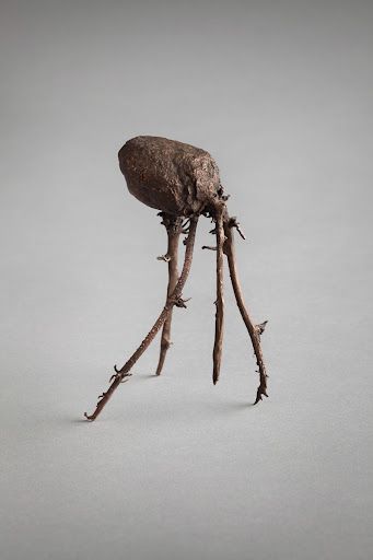 Brambora